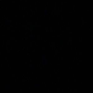 Meet your Posher, Allynnaa